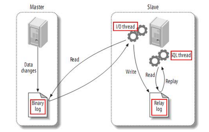 image-20260407183951222